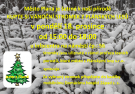 Prodej vánočních stromků z plánských lesů